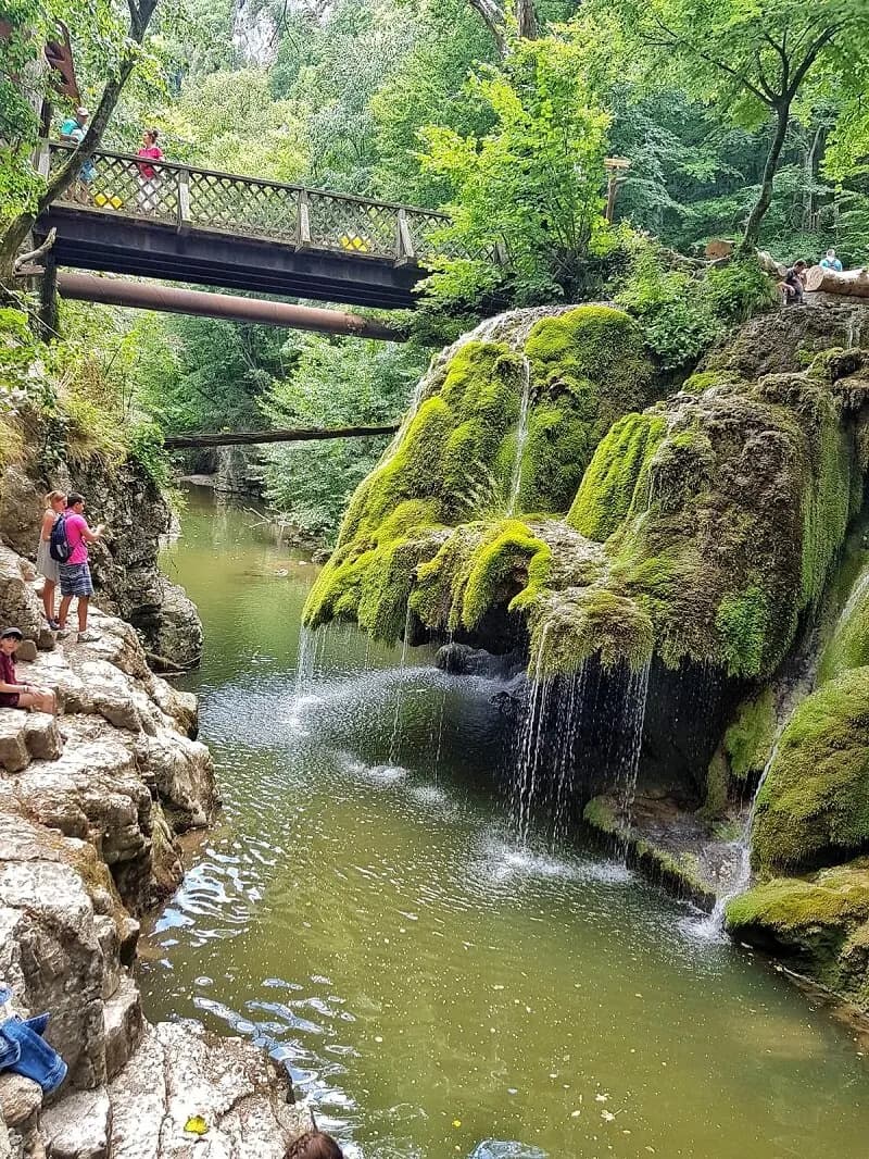 Poneasca