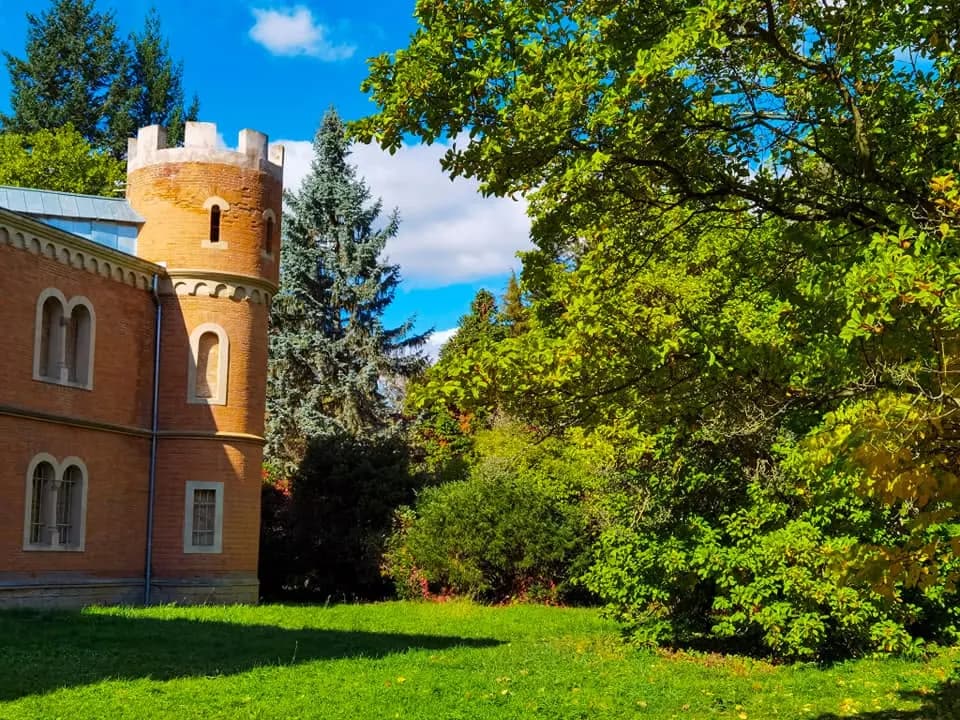 Hemeiuș